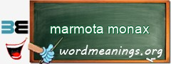 WordMeaning blackboard for marmota monax